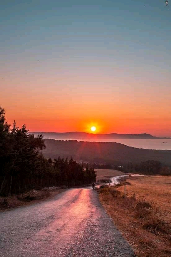 Ras Jebel Metline Vente Surfaces Occasion en or  demna metline