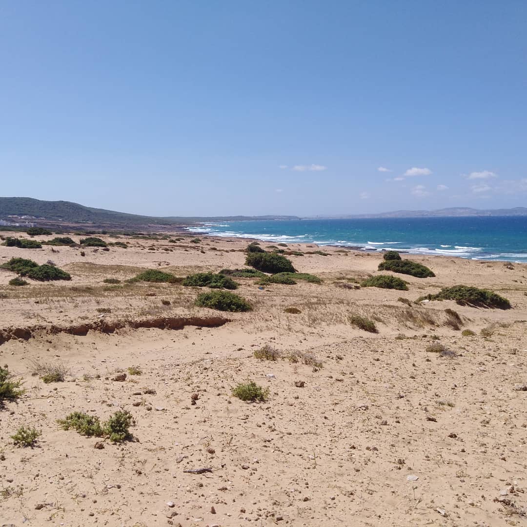 Ras Jebel Metline Vente Surfaces Occasion en or  demna metline