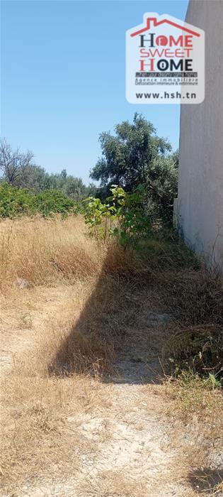 Zaghouan Zaghouan Vente Surfaces Terrain villa rama   zaghouan