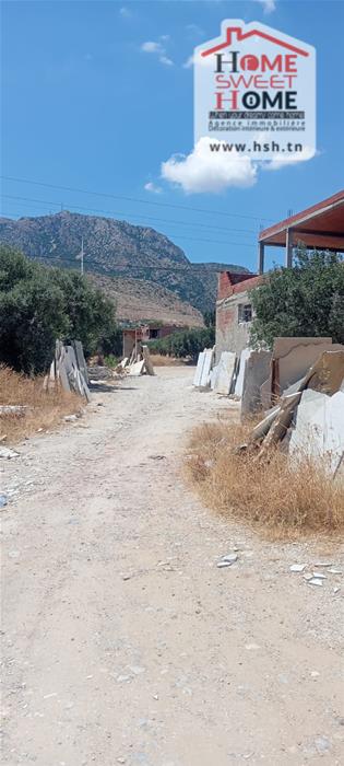 Vente Surfaces - Tunisie