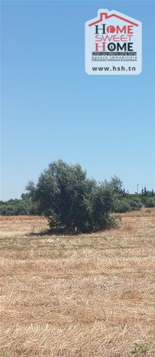 Vente&nbsp;Surfaces - Tunisie