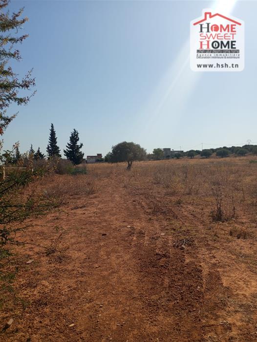 Vente Surfaces - Tunisie