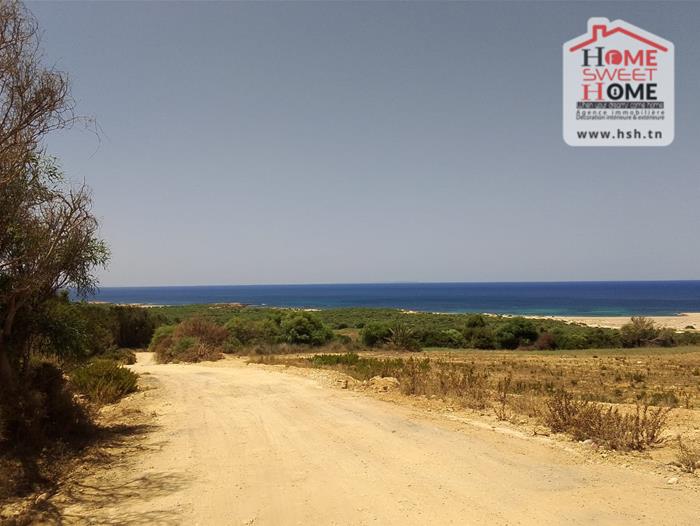 Vente Surfaces - Tunisie