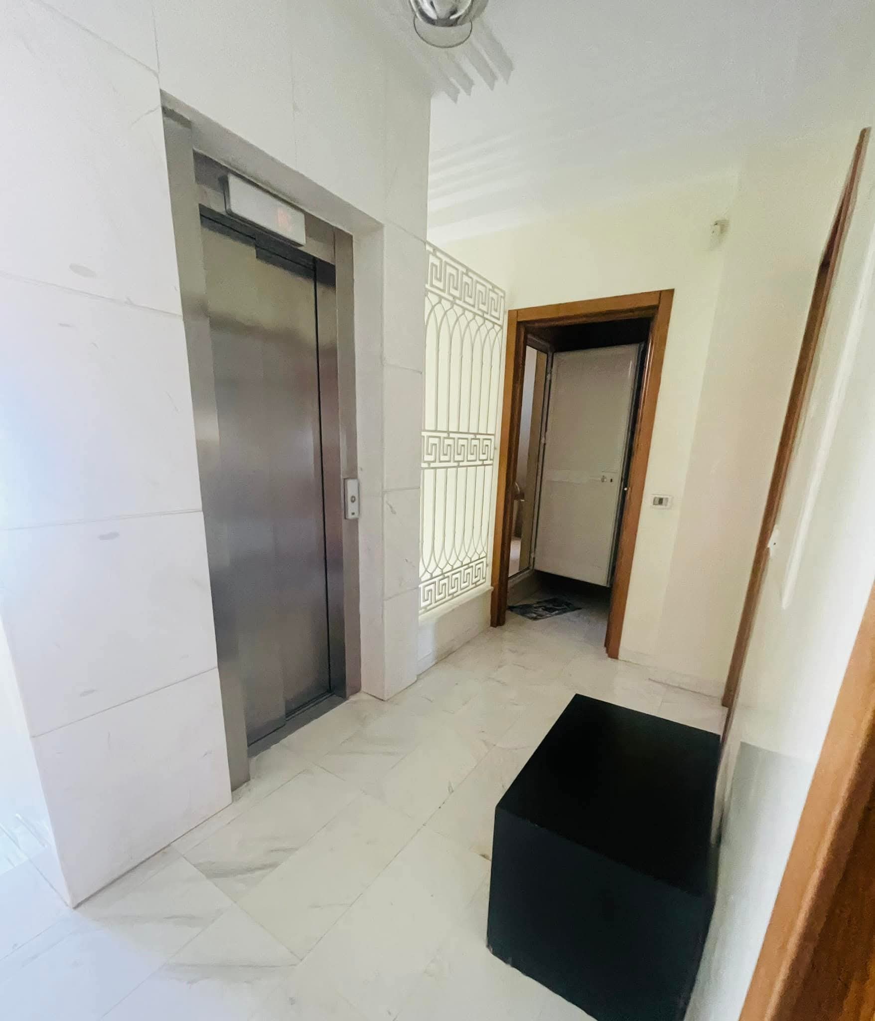 Ariana Ville Cite Ennasr 2 Vente Maisons Villa trs haut standing
