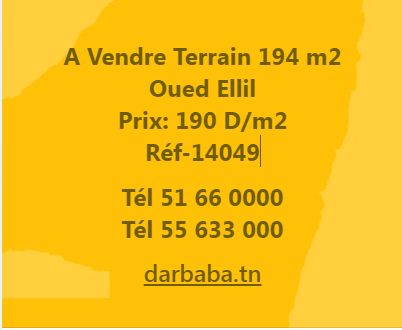 Vente Surfaces - Tunisie