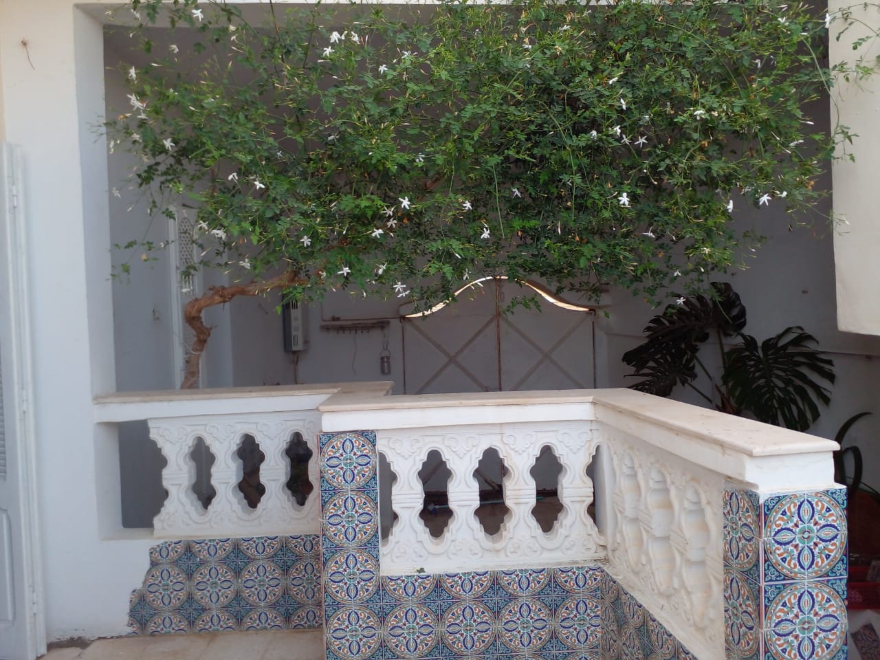 Vente Maisons - Tunisie