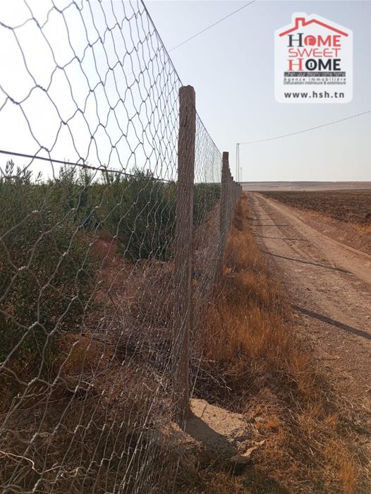 Vente Surfaces - Tunisie