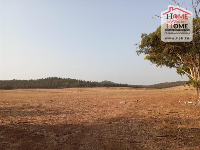 Vente Surfaces - Tunisie