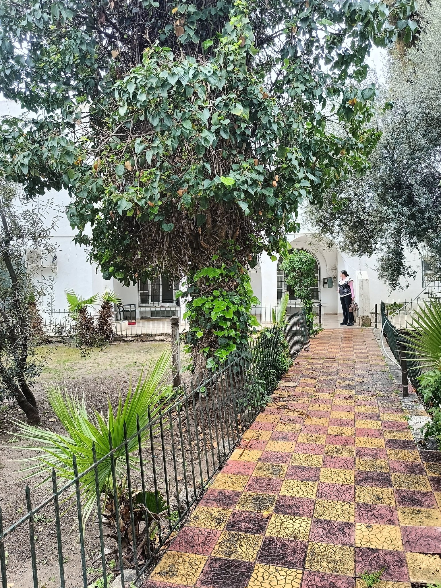 Vente Appart. 5 pices+ - Tunisie