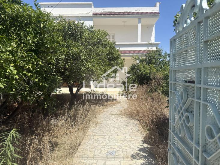 Nabeul Nabeul Vente Maisons Belle demeure  nabeul