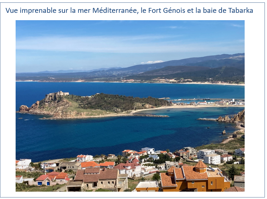Tabarka Tabarka Vente Appart. 3 pices Plateforme pour un appartement 3 pices