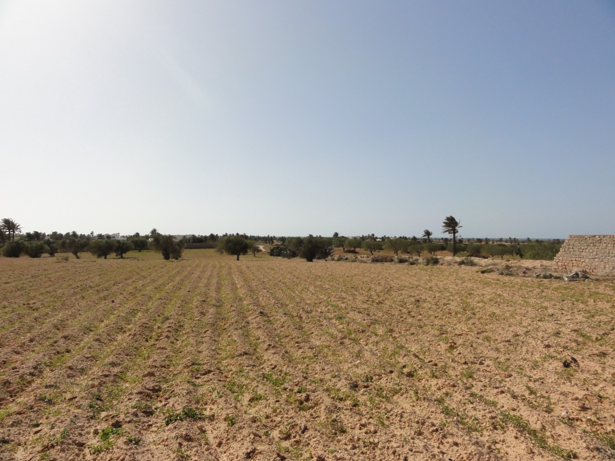 Vente Autre - Tunisie