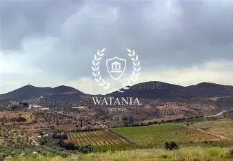 Sidi Thabet Chorfech Vente Autre Terrain chorfech