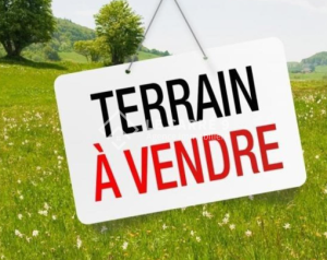 Vente Surfaces - Tunisie