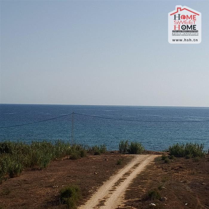 Vente Surfaces - Tunisie