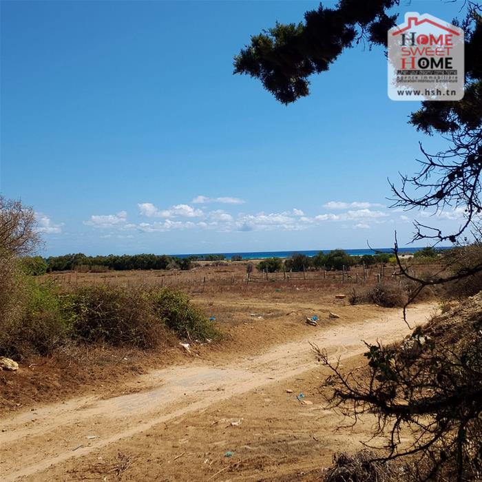 Vente Surfaces - Tunisie
