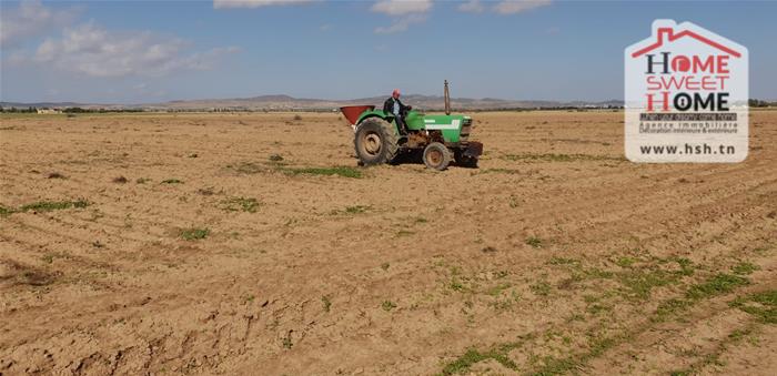 Vente&nbsp;Surfaces - Tunisie