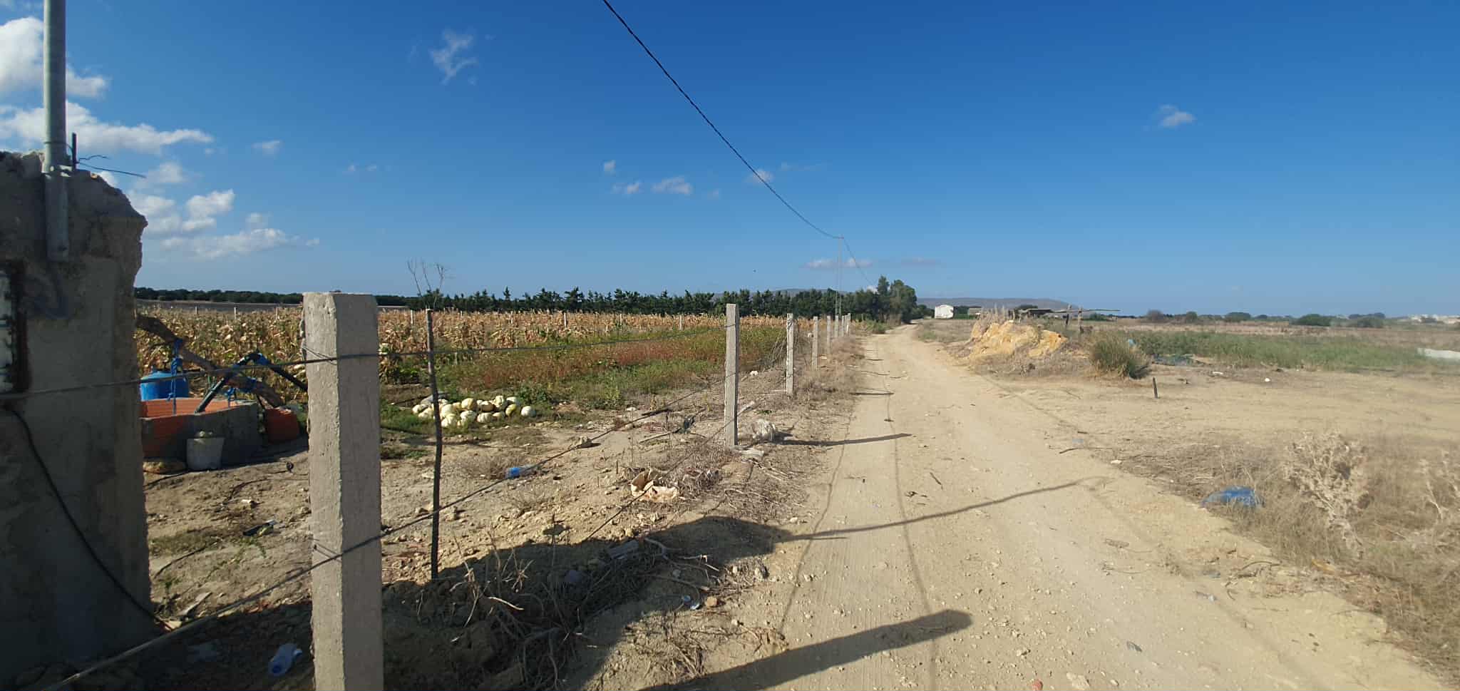 El Haouaria Charaf Vente Surfaces Ferme  chraf el haouaria