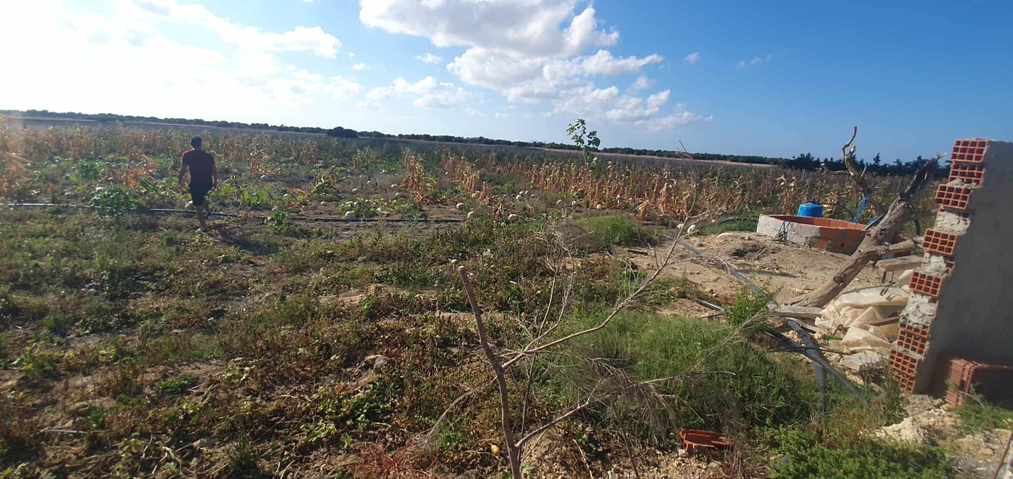 Vente Surfaces - Tunisie