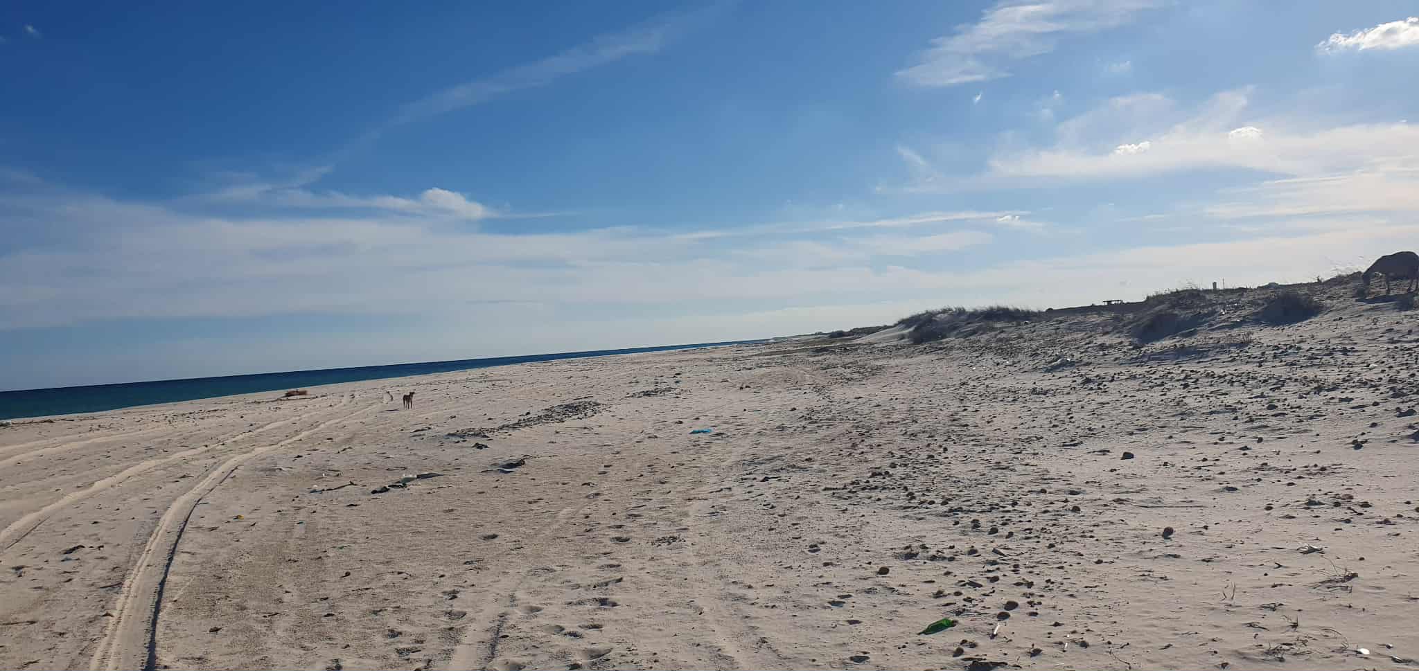 Vente Surfaces - Tunisie