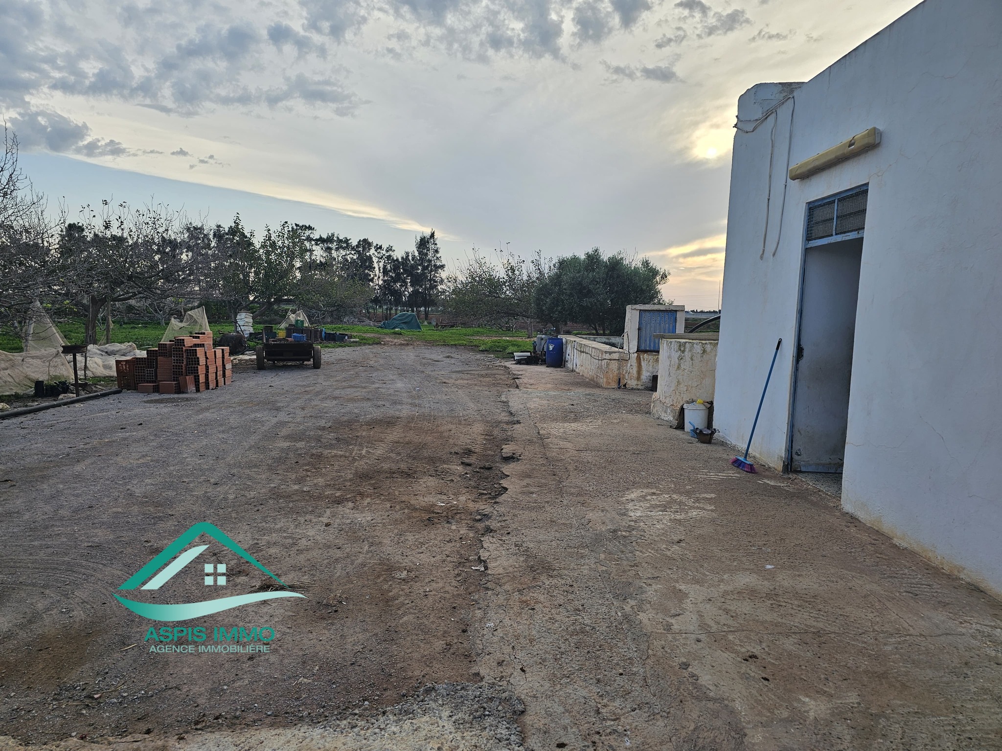 Vente Surfaces - Tunisie
