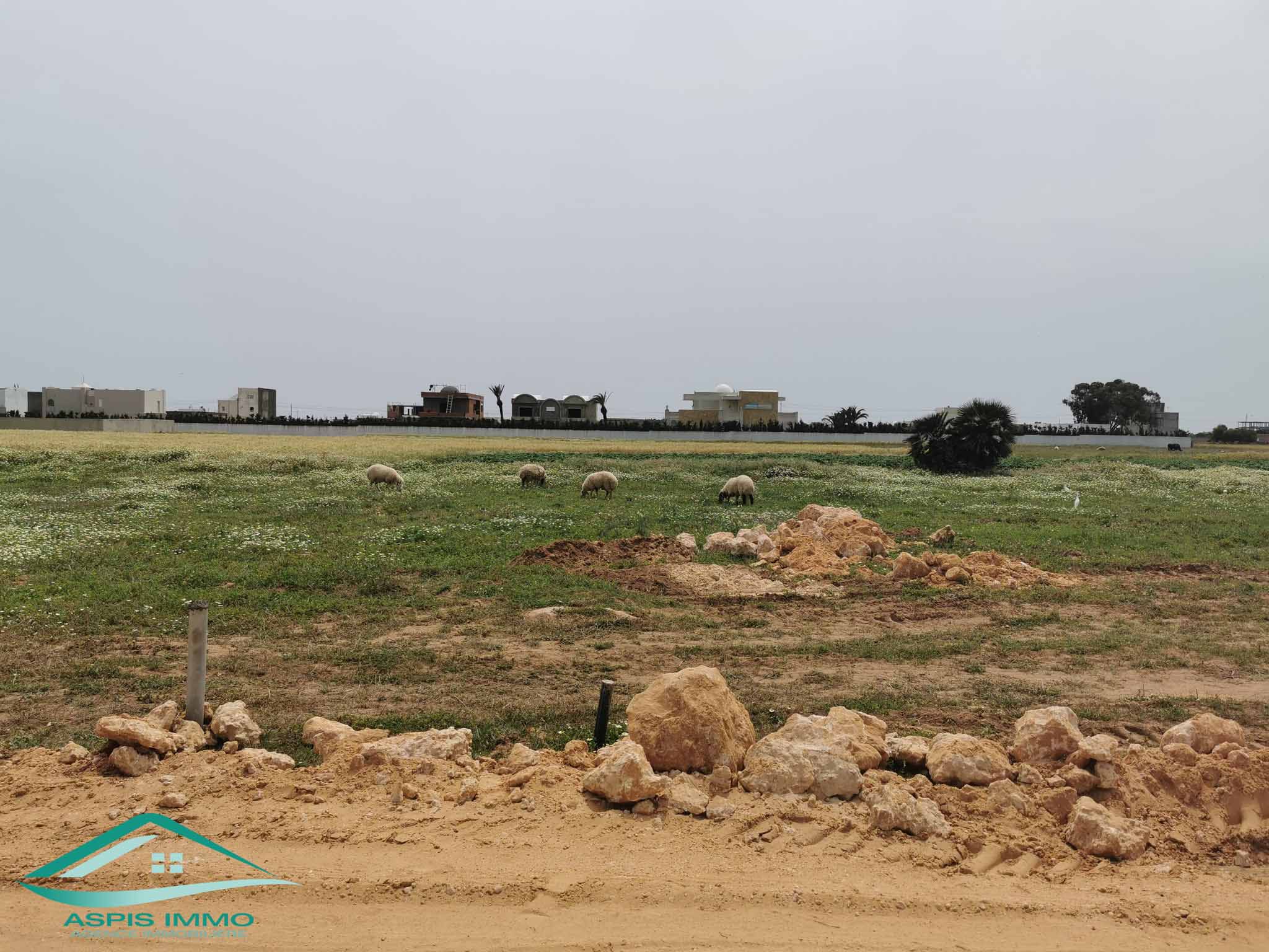 Kelibia Kerkouane Vente Surfaces Vt597 trois lots de terrain  plage kerkouene