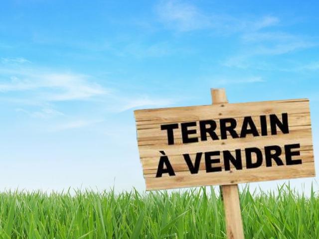 Vente Surfaces - Tunisie