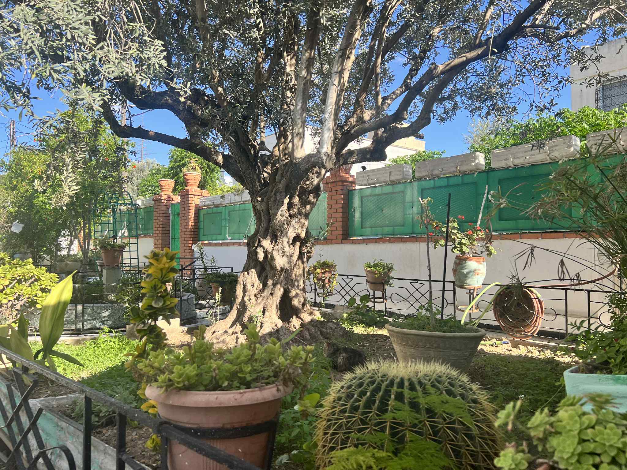 Vente Maisons - Tunisie