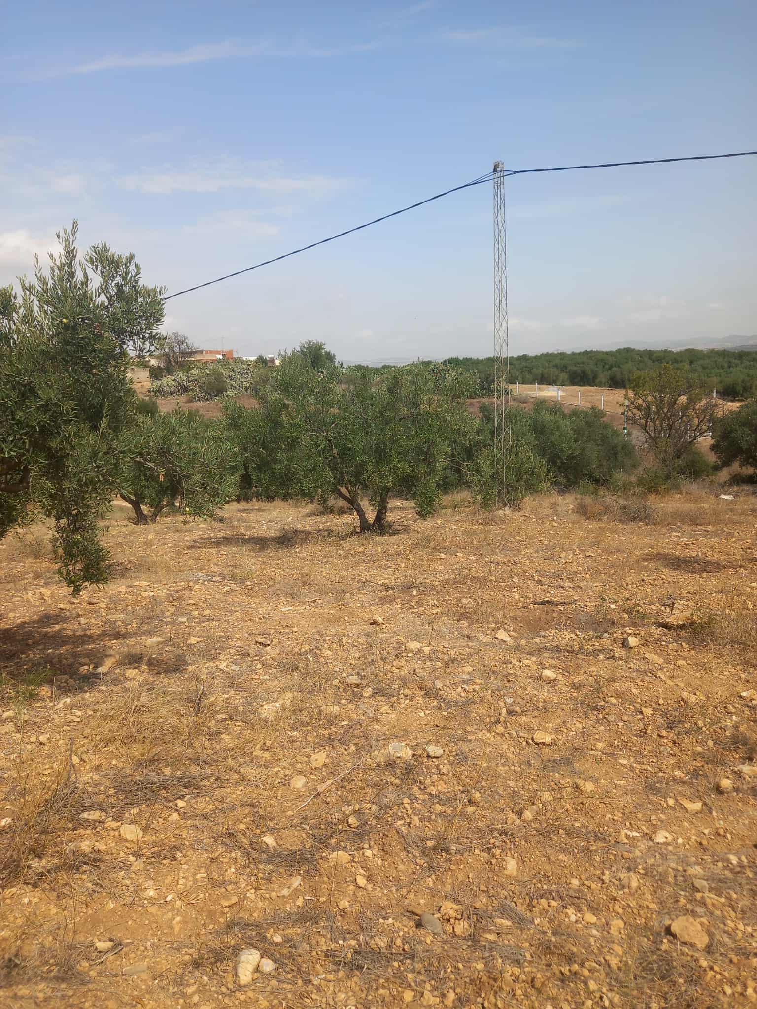Vente Autre - Tunisie