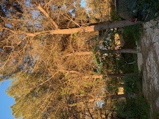 Carthage Carthage Vente Surfaces Land for sale in tunisia carthage 2188square meter