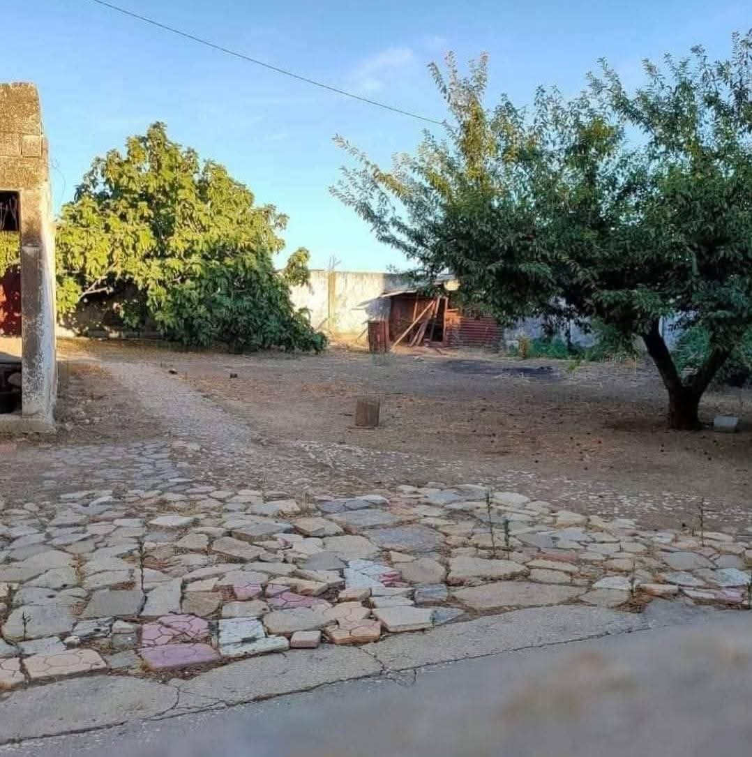 Utique&nbsp;Ain Ghelal&nbsp;Vente&nbsp;Maisons&nbsp;Immeuble magnifique � ain ghlel