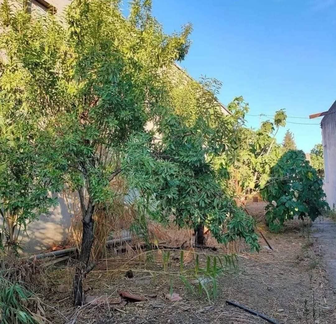 Utique&nbsp;Ain Ghelal&nbsp;Vente&nbsp;Maisons&nbsp;Immeuble magnifique � ain ghlel