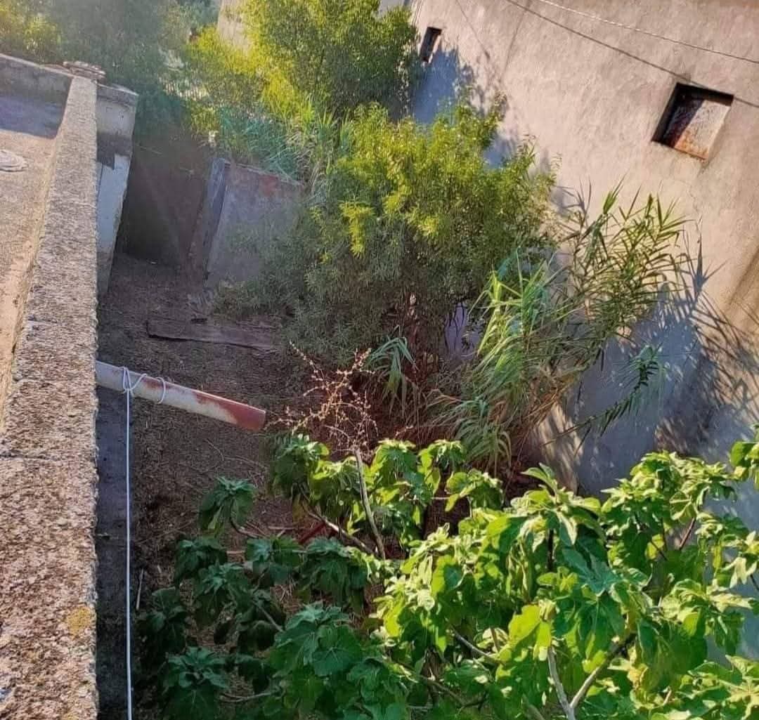 Utique&nbsp;Ain Ghelal&nbsp;Vente&nbsp;Maisons&nbsp;Immeuble magnifique � ain ghlel