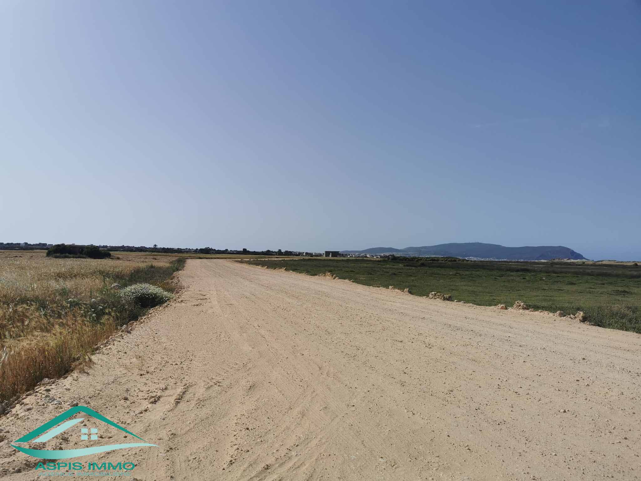 Kelibia Kerkouane Vente Surfaces Vt747 terrain  500 mtres de plage kerkouene