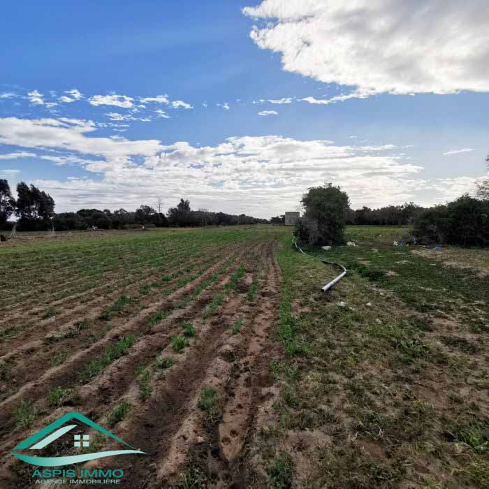 Hammam El Ghezaz Hammam El Ghezaz Vente Surfaces Vt778 terrain agricole 5396 m2  hamam ghzez