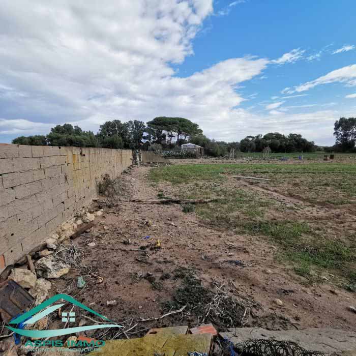 Hammam El Ghezaz Hammam El Ghezaz Vente Surfaces Vt778 terrain agricole 5396 m2  hamam ghzez