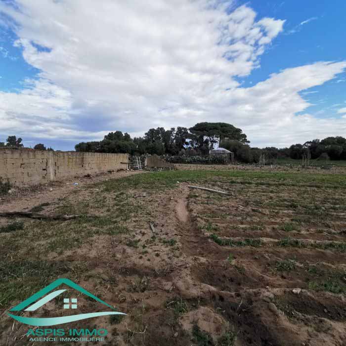 Hammam El Ghezaz Hammam El Ghezaz Vente Surfaces Vt778 terrain agricole 5396 m2  hamam ghzez