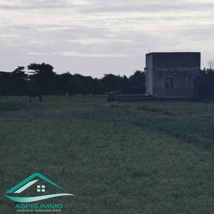 Vente Surfaces - Tunisie