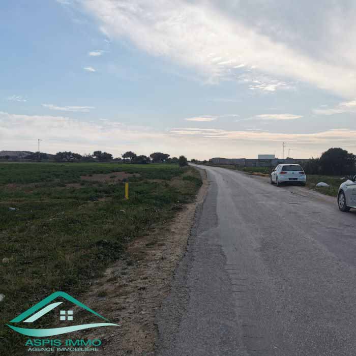 Menzel Temime Menzel Temime Vente Surfaces Vt790 terrain agricole 5966 m2  menzel temim