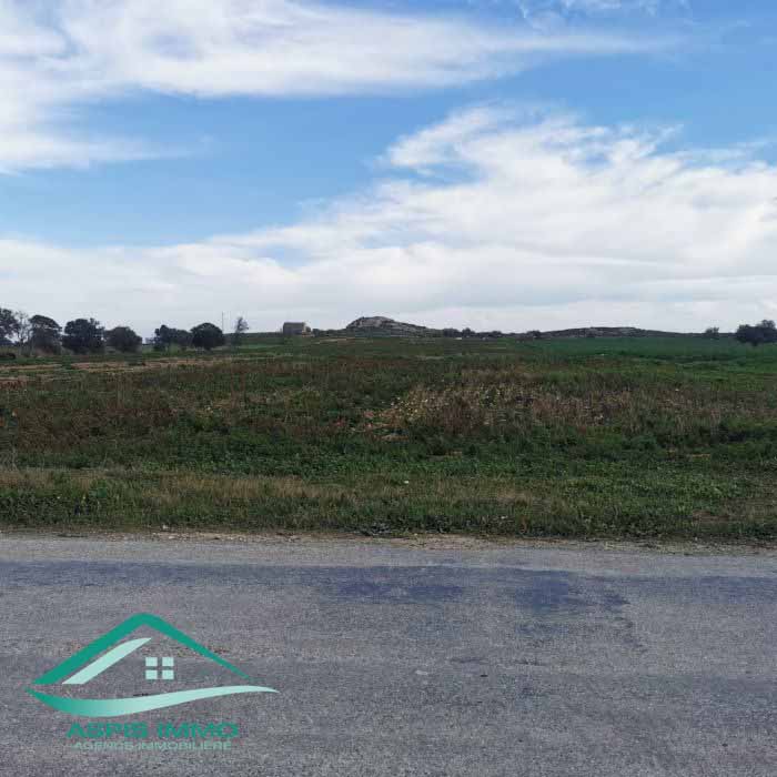 Menzel Temime Menzel Temime Vente Surfaces Vt790 terrain agricole 5966 m2  menzel temim