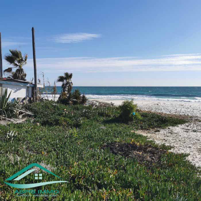 Kelibia Kelibia Vente Surfaces Vt791 terrain 561 m2   plage ain grinz kelibia