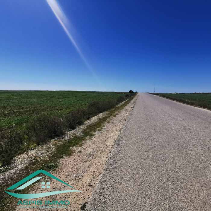 Kelibia Kelibia Vente Surfaces Vt804 terrain  wed khatf kelibia