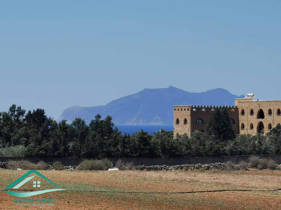 El Haouaria Sidi Daoud Vente Surfaces Vt809 terrain agricole  sidi daoued hawaria