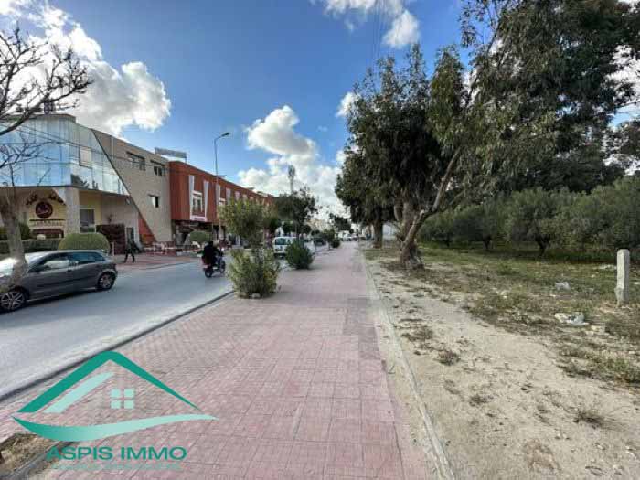Kelibia Kelibia Vente Surfaces Vt812 terrain commercial 580 m2  kelibia