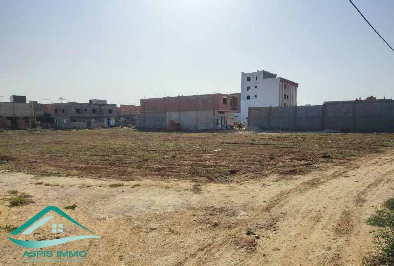 Kelibia Kelibia Vente Surfaces Vt823 terrain 166 m2   kelibia