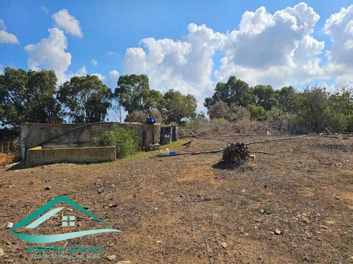 Kelibia Kerkouane Vente Surfaces Vt849 terrain agricole 13500 m2  kerkouene