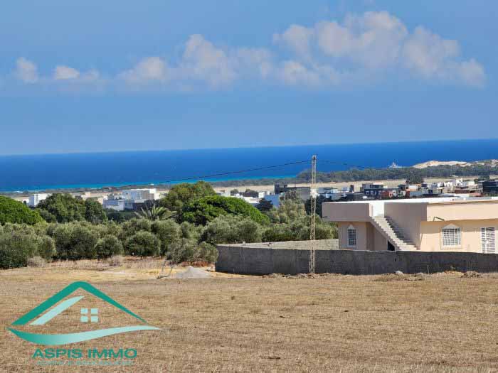 Hammam El Ghezaz Tamazrat Vente Surfaces Vt850 terrain agricole 5980 m2  tamezrat kelibia