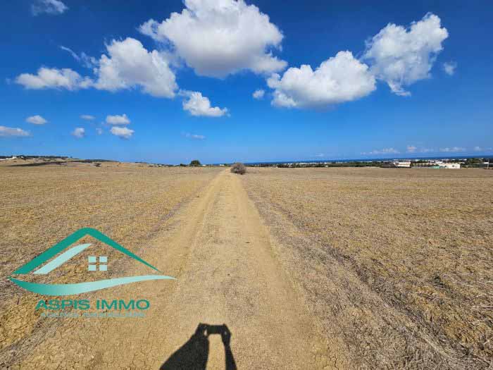 Vente Surfaces - Tunisie