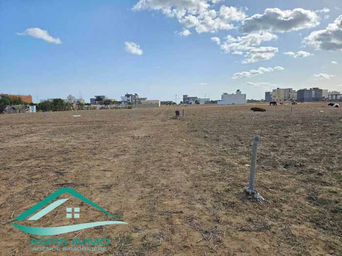 Vente Surfaces - Tunisie