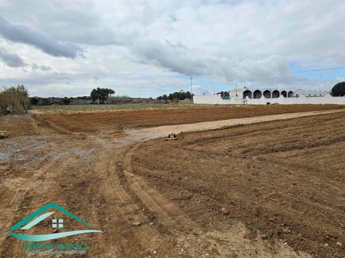 Vente Surfaces - Tunisie